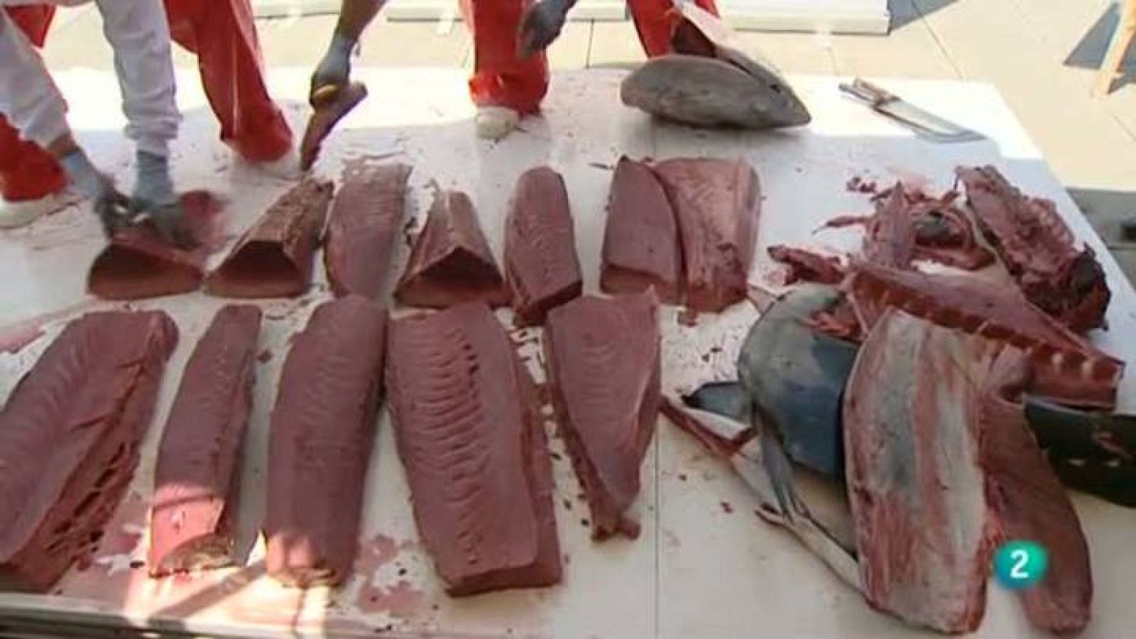 Para Todos La 2 - Vídeo: Ronquear el atún