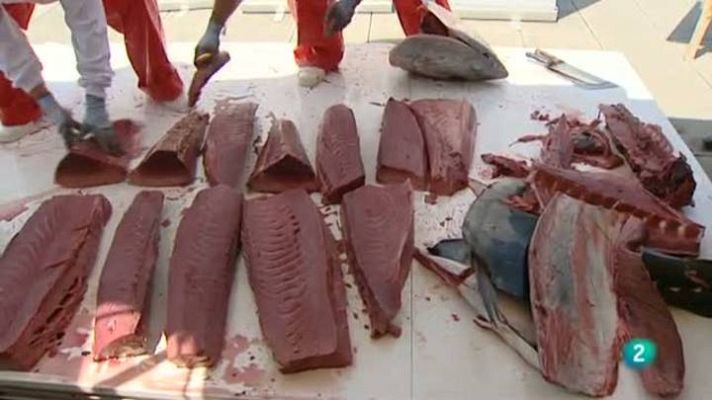 Para todos La 2 - Ronquear el atún