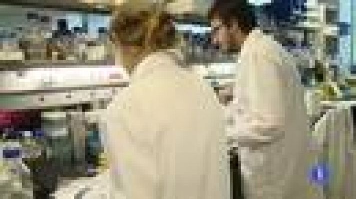 Telediario 1 - Innovación y talento en España