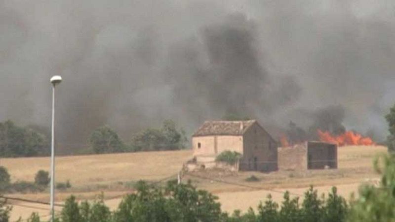 Casi mil hectáreas de vegetación afectadas por el incendio en Cataluña