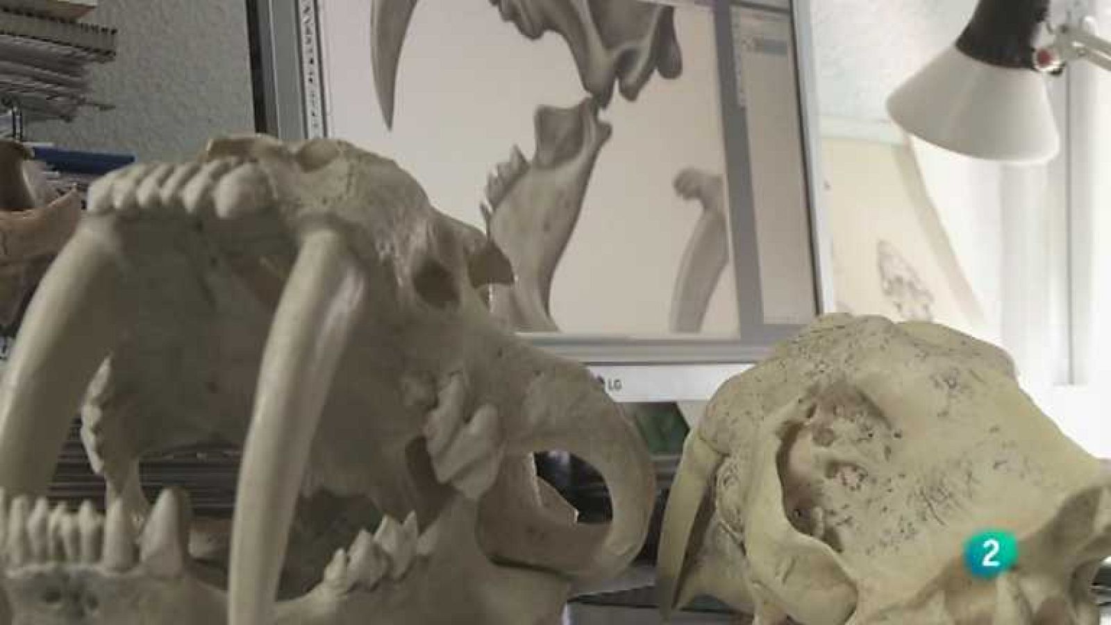 Biodiario - 01/07/12 - Ver ahora