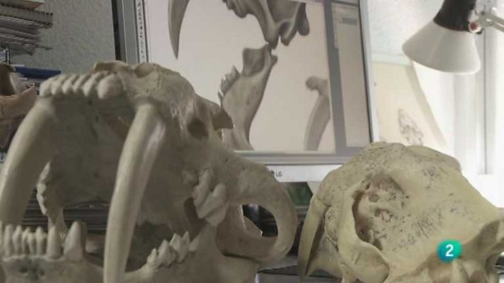 Biodiario - Biodiario - 01/07/12