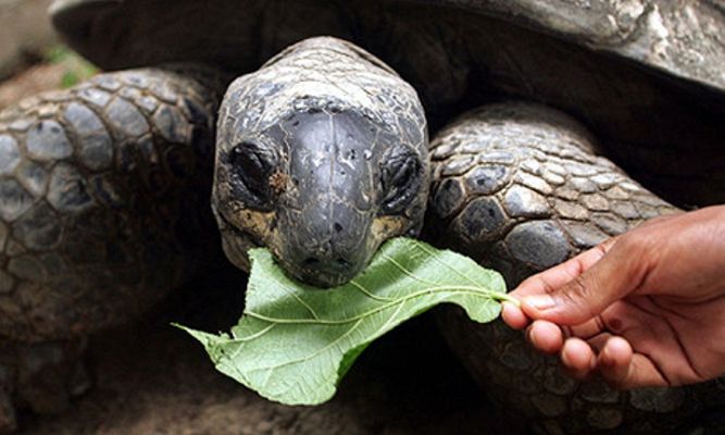 On Off - On Off: Un gran atractivo turístico