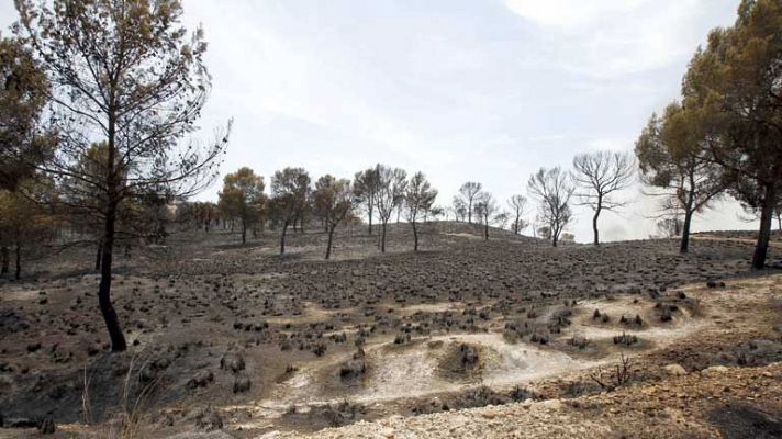 Otros incendios