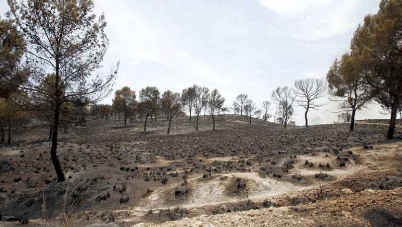 El fuego también quema la tierra de Murcia y Albacete
