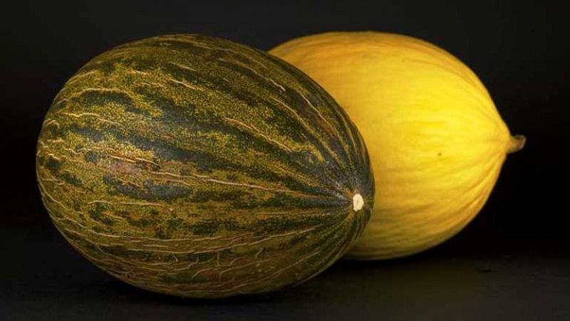 Identifican el genoma del melón
