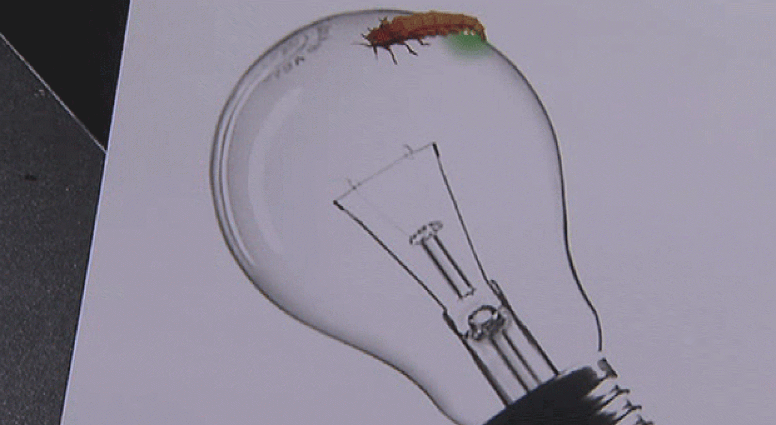 La Aventura del Saber-Creadores-Tony Prat