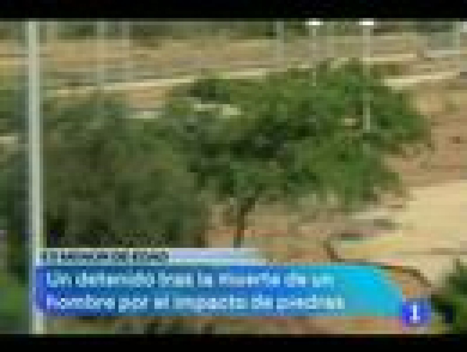 Noticias Murcia: La comunidad de Murcia en 2'.(04/7/2012). | RTVE Play