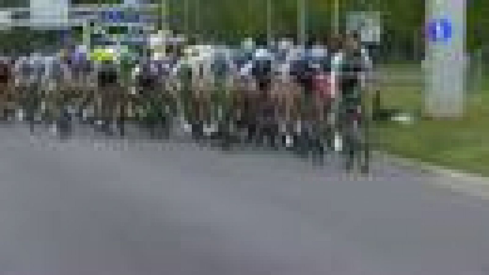 El británico Mark Cavendish, principal favorito para la victoria en la cuarta etapa, se ha visto privado del sprint por culpa de una caída a poco más de dos kilómetros y medio de la meta de Ruán.