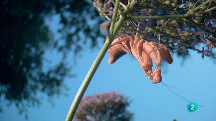Biodiario - Biodiario - 04/07/12