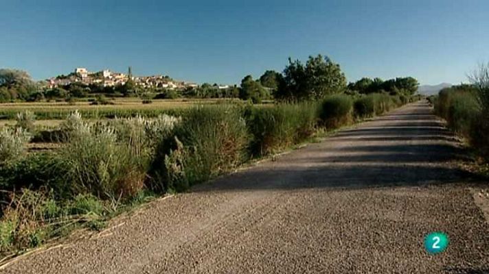 Biodiario - Biodiario - 05/07/12