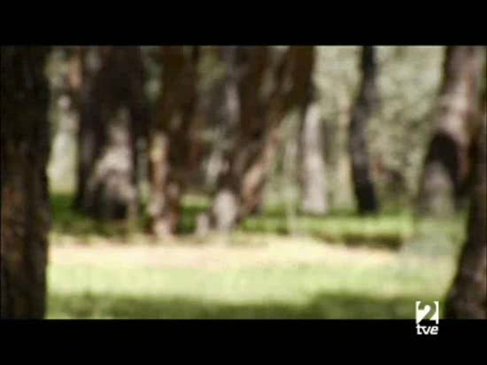 Muchachada Nui. Sánchez Dragó