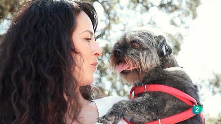 Más que perros y gatos - T2 - Capítulo 12