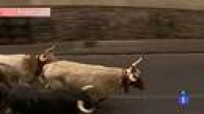 San Fermín - El análisis del tercer encierro de San Fermín, de Cebada Gago