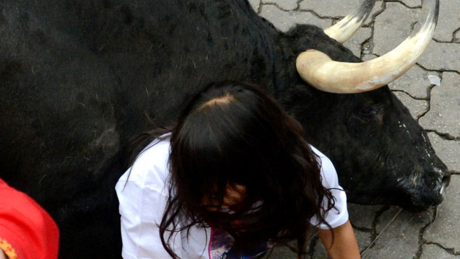 'Fugado' resbala y se pierde de la manada | Ver