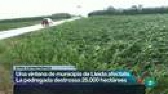 L'Informatiu - L'informatiu vespre - 06/07/12