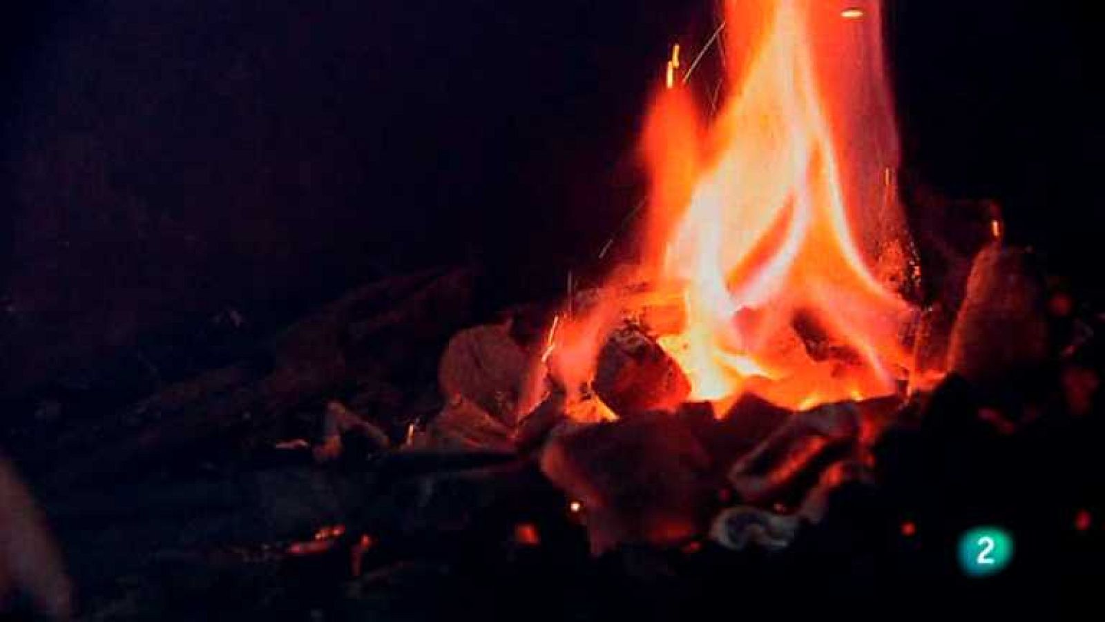 Biodiario - 09/07/12 - ver ahora