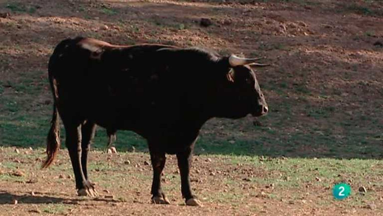 Biodiario - 10/07/12