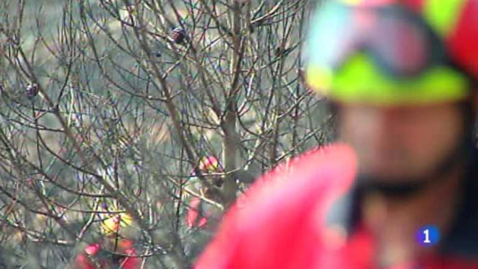 L'Informatiu - Comunitat Valenciana - 11/07/12 - Ver ahora