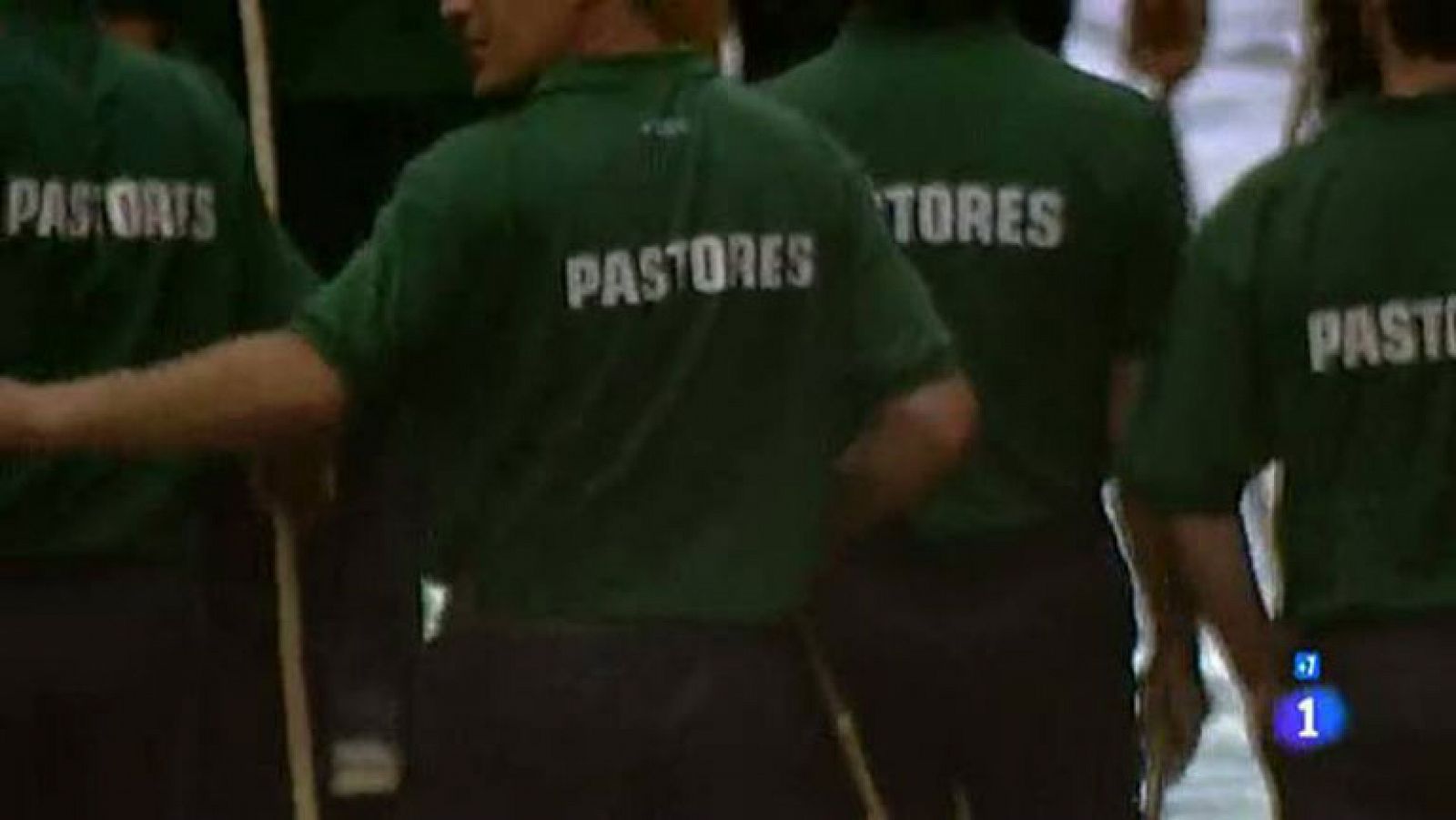 La otra cara de los encierros de San Fermín | Ver