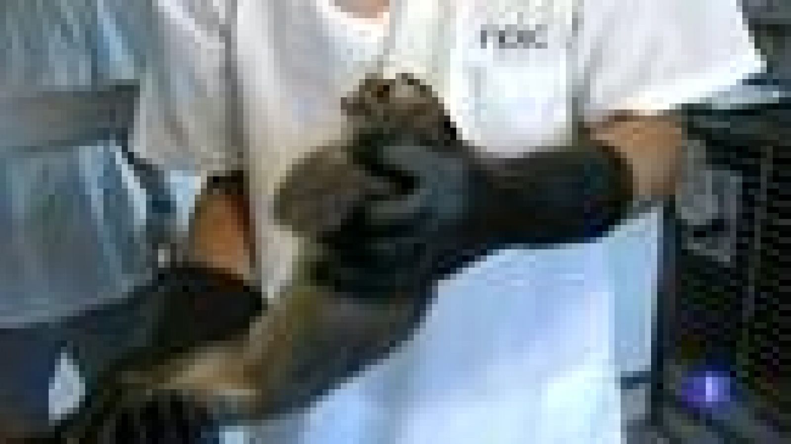 Un tribunal colombiano obliga a parar las investigaciones del científico Manuel Patarroyo