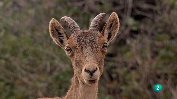 Biodiario - Biodiario - 12/07/12