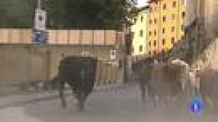 San Fermín - Mejores momentos último encierro