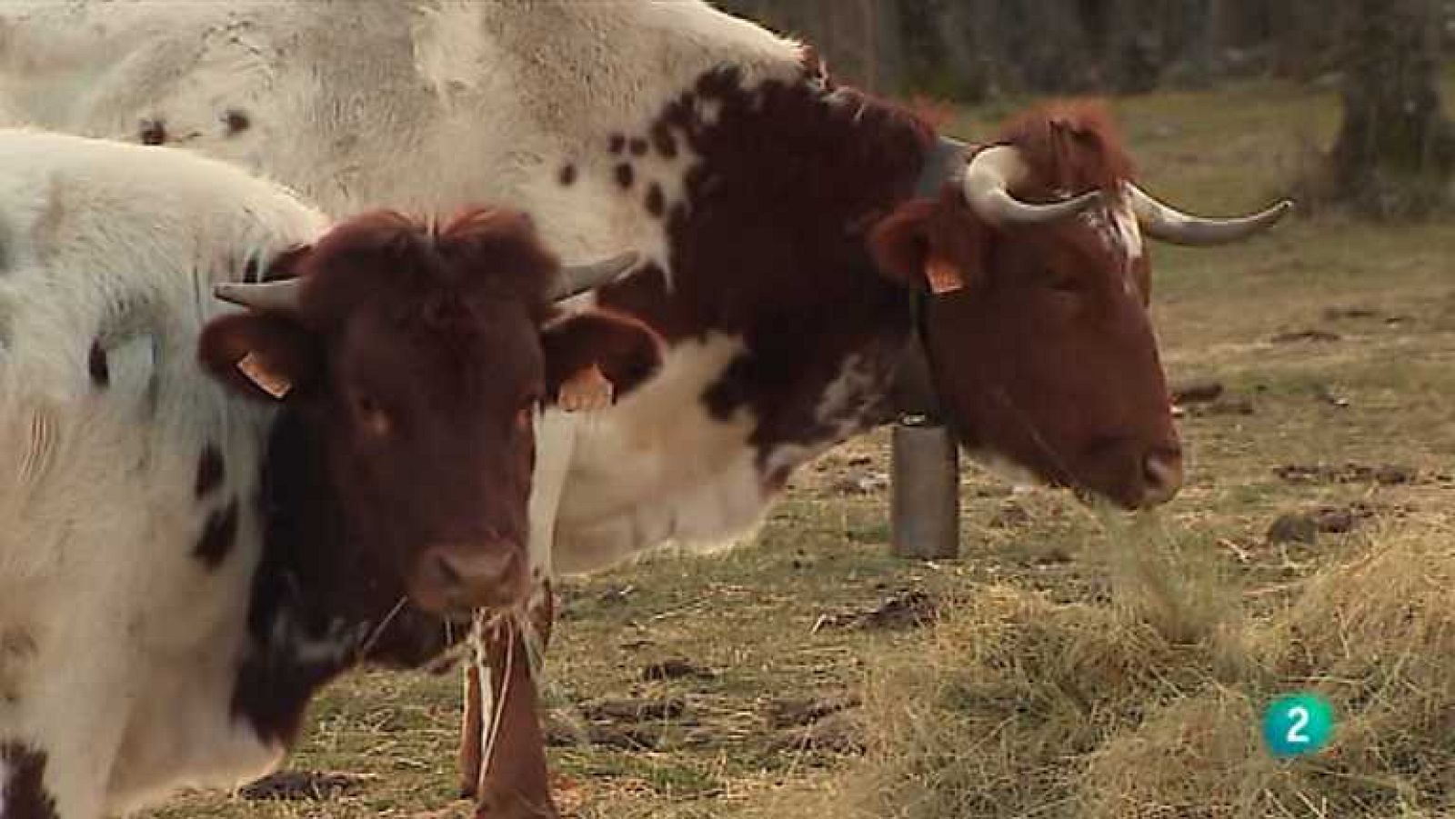 Agrosfera - 14/07/12  - Ver ahora