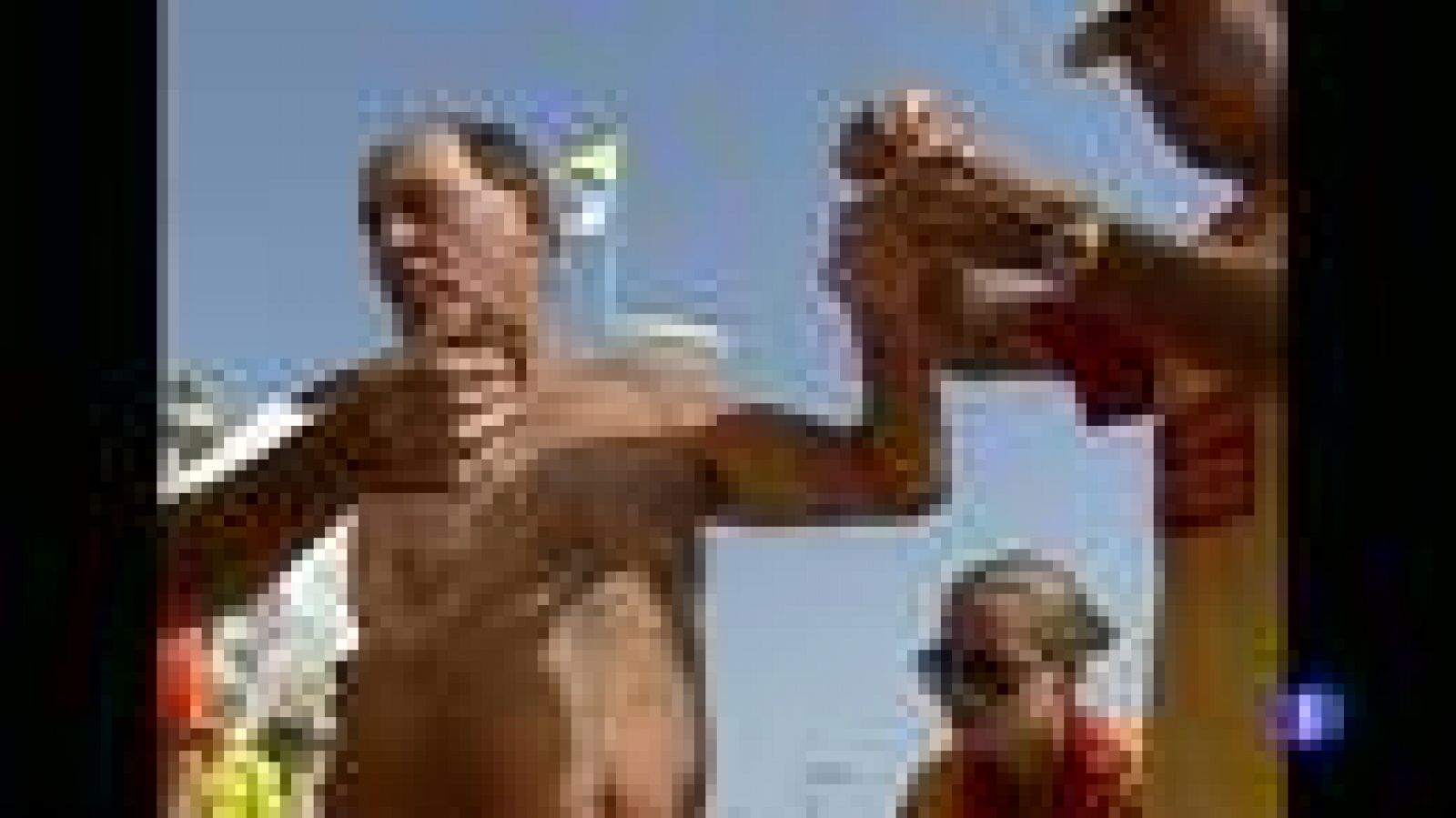 El calor de las costas españolas atrae a las medusas