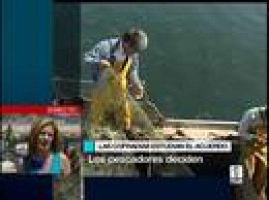  - Algunos vuelven a faenar