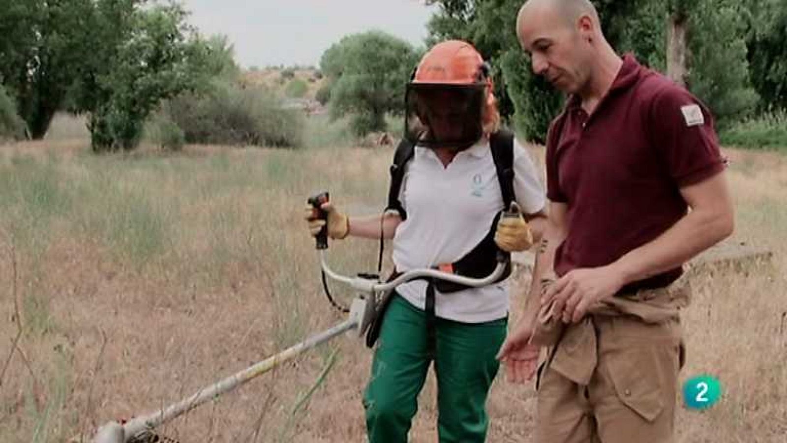 Biodiario - 15/07/12 - Ver ahora