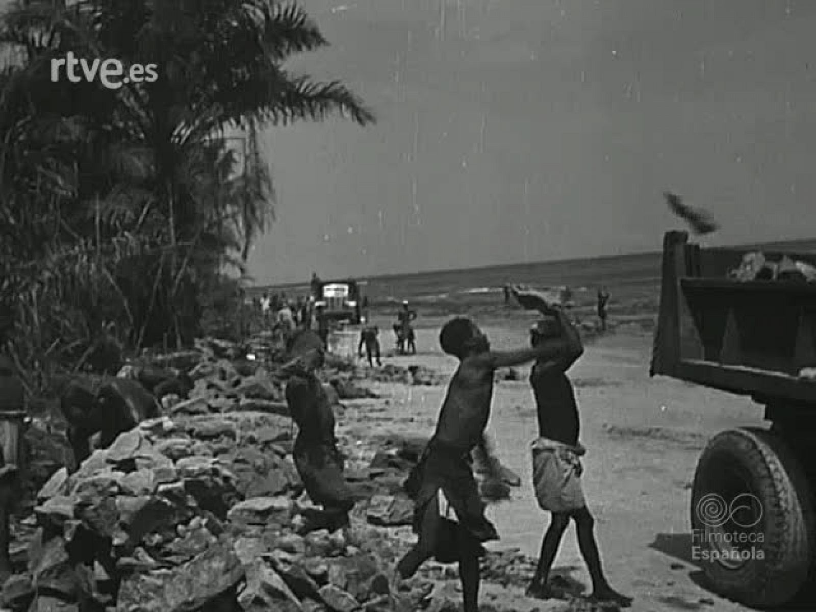 NOT N 394 A - NO-DO | Ver