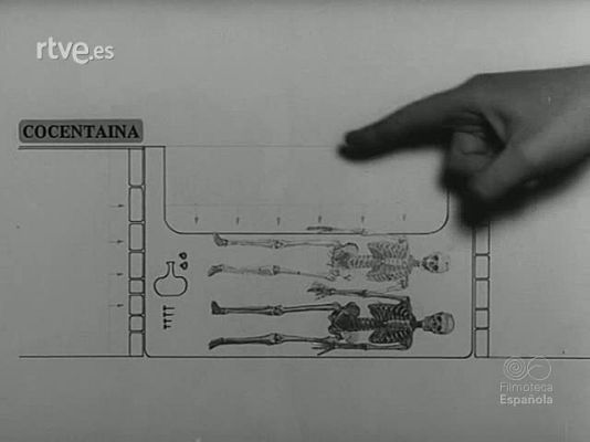 NO-DO - NOT N 1653 A