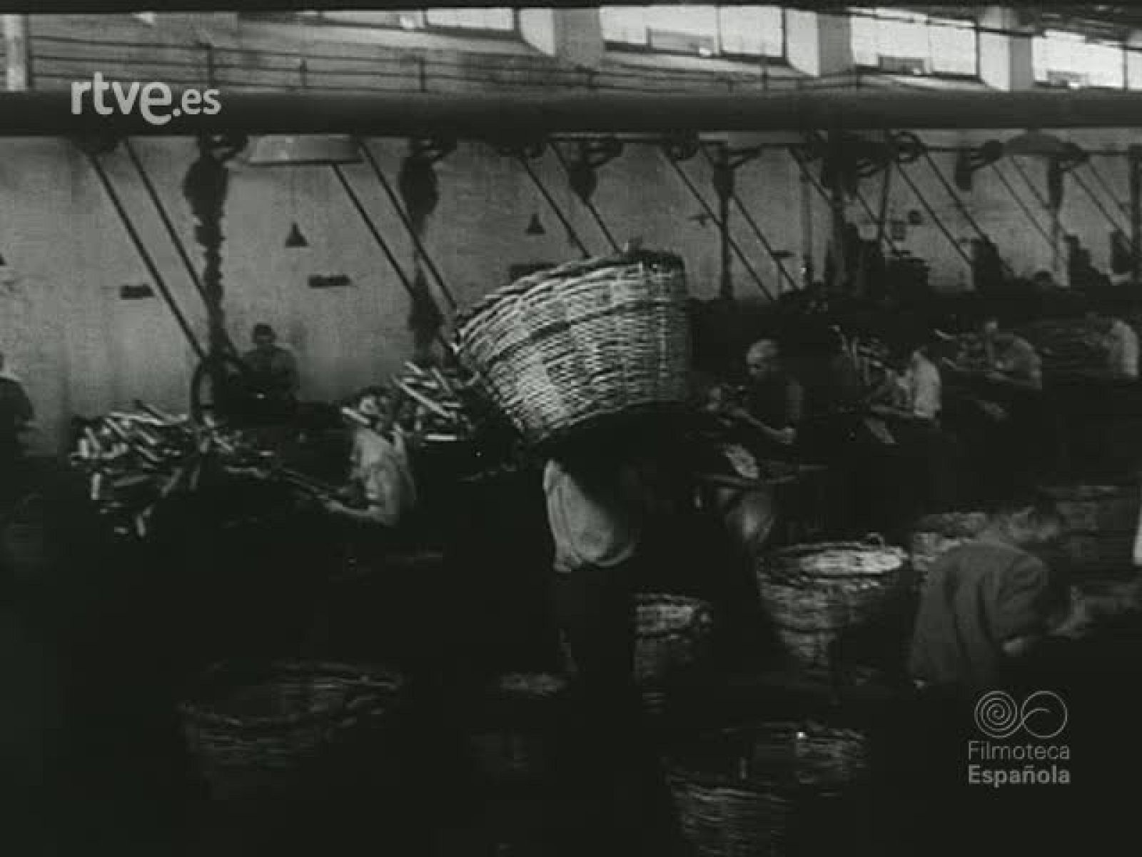 NOT N 44 B - NO-DO | Ver