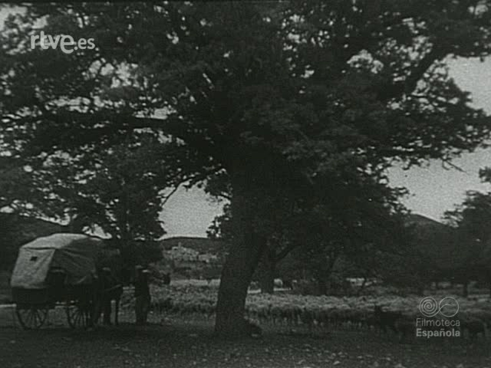 NOT N 37 B - NO-DO | Ver