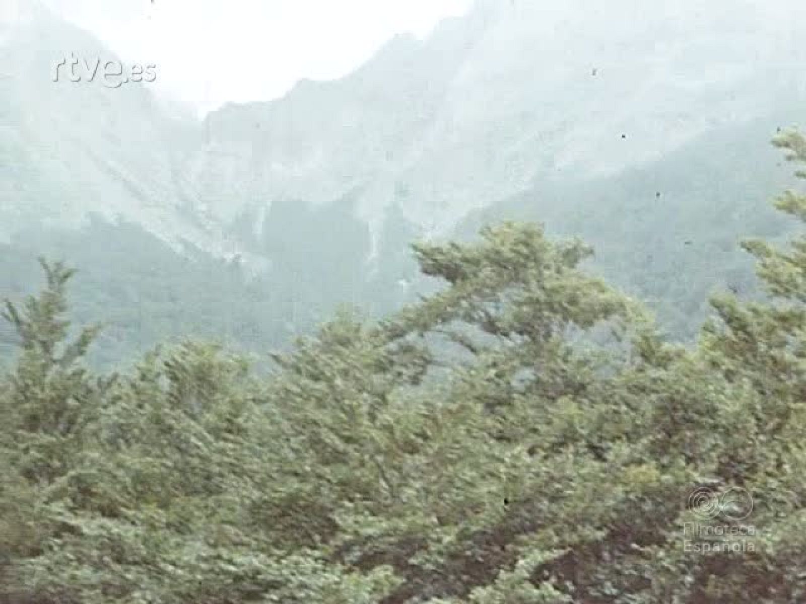 NOT N 1901 . - NO-DO | Ver