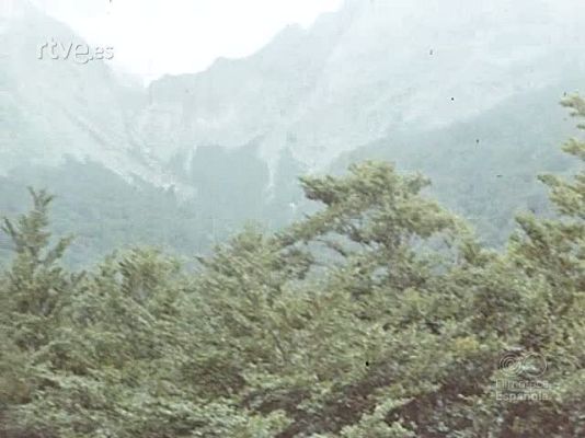 NO-DO - NOT N 1901 .