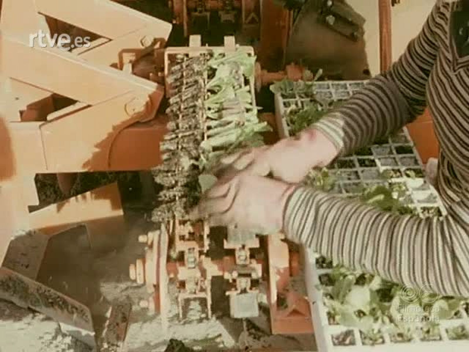 NOT N 1866 - NO-DO | Ver