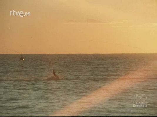 NO-DO - NOT N 1953 A