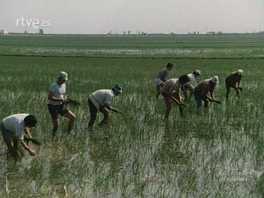 NO-DO - NOT N 1952 B