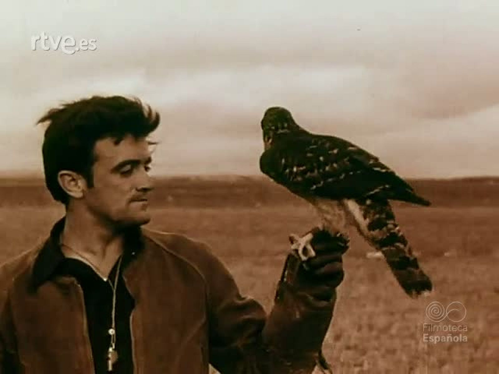 NOT N 1936 . - NO-DO | Ver