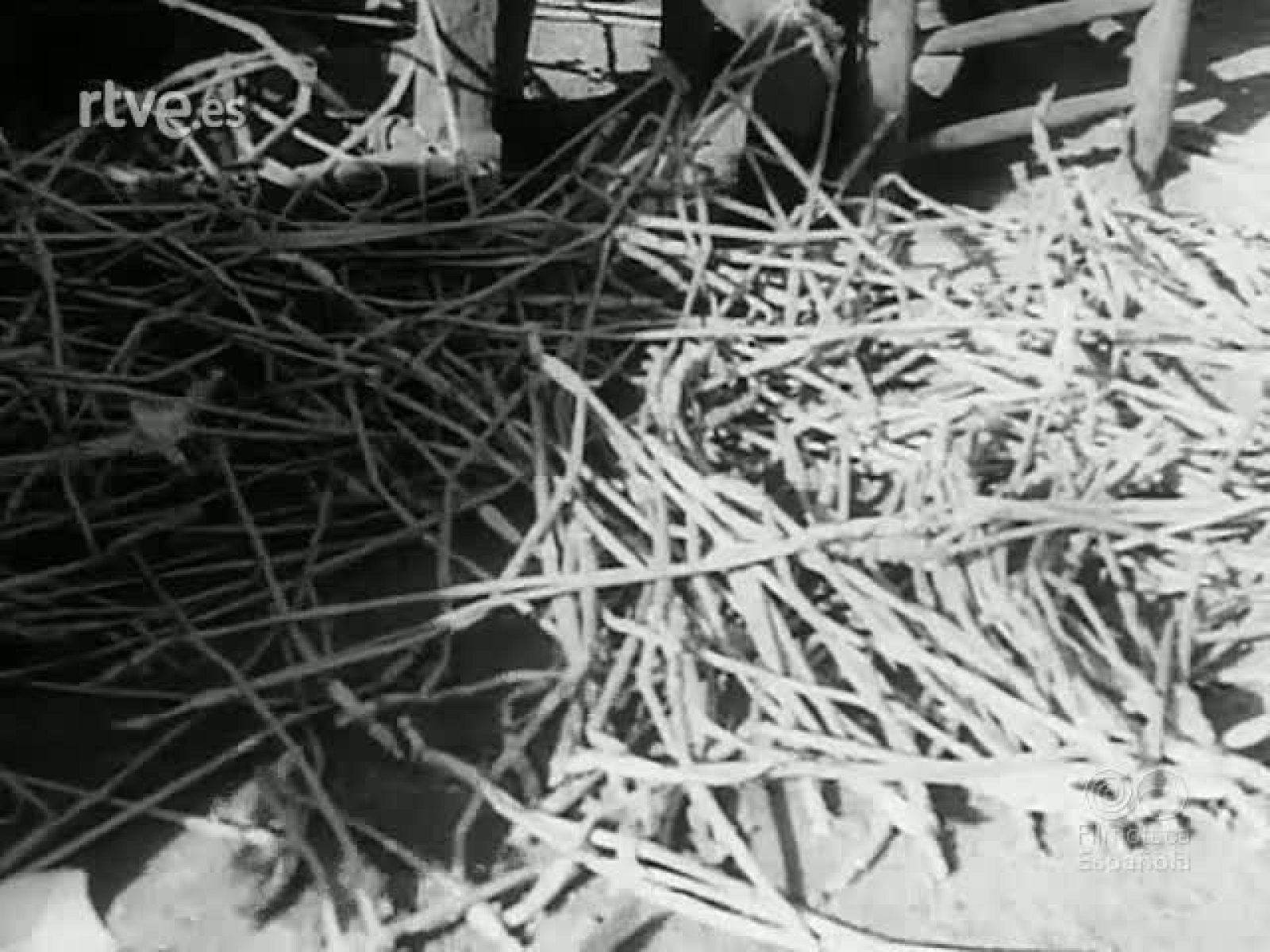 NOT N 112 B - NO-DO | Ver