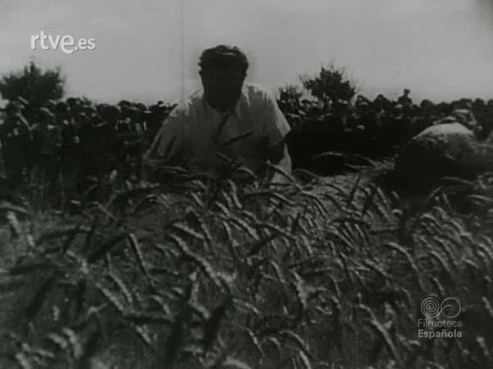 NOT N 36 B - NO-DO | Ver