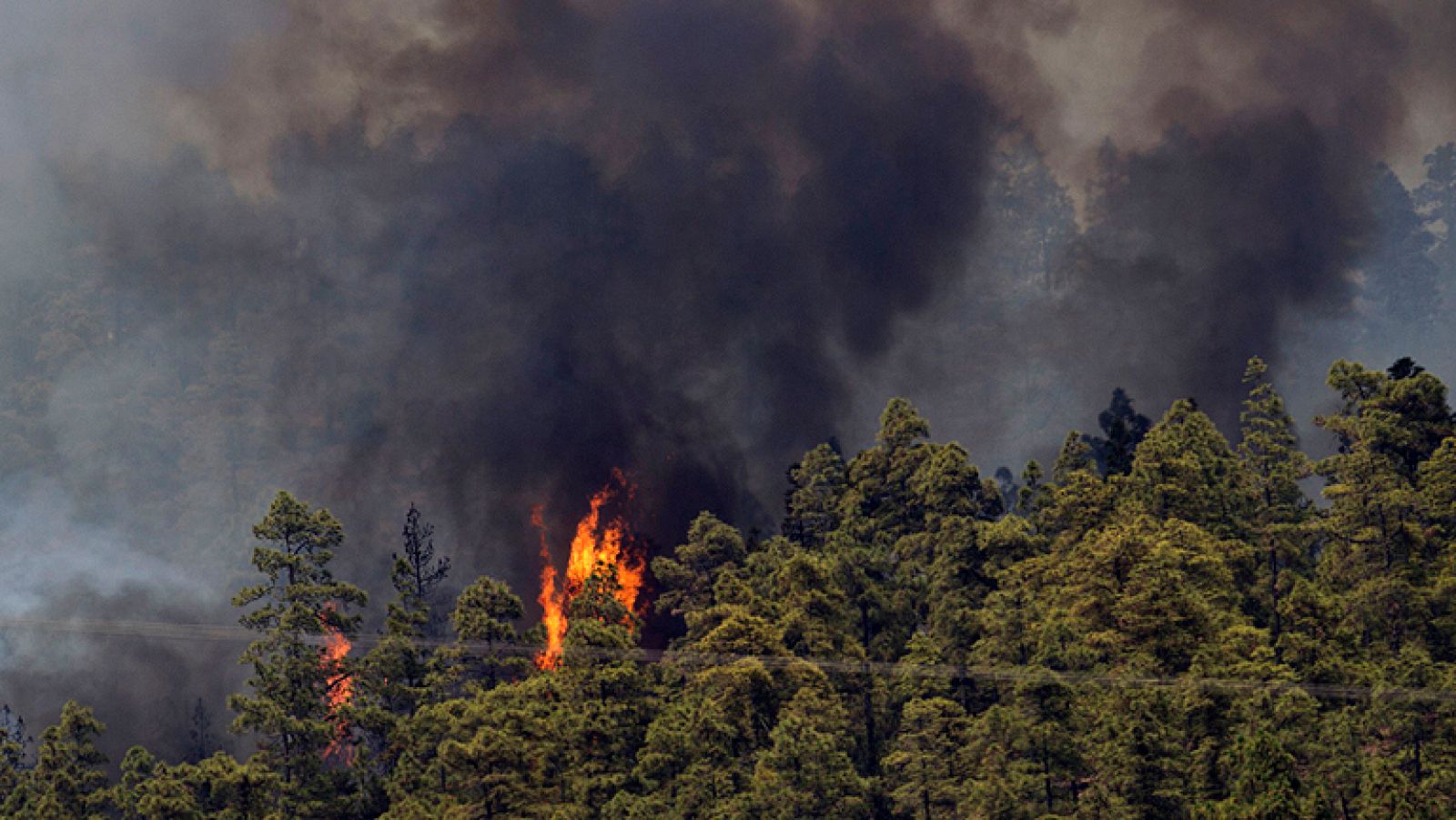 Telediario 1: Incendios en la Palma y Tenerife | RTVE Play