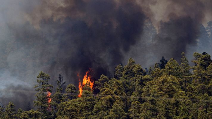 Telediario 1 - Incendios en la Palma y Tenerife