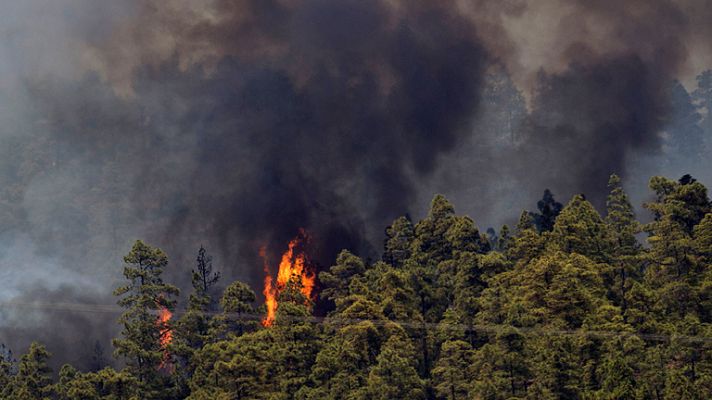 Incendios en la Palma y Tenerife