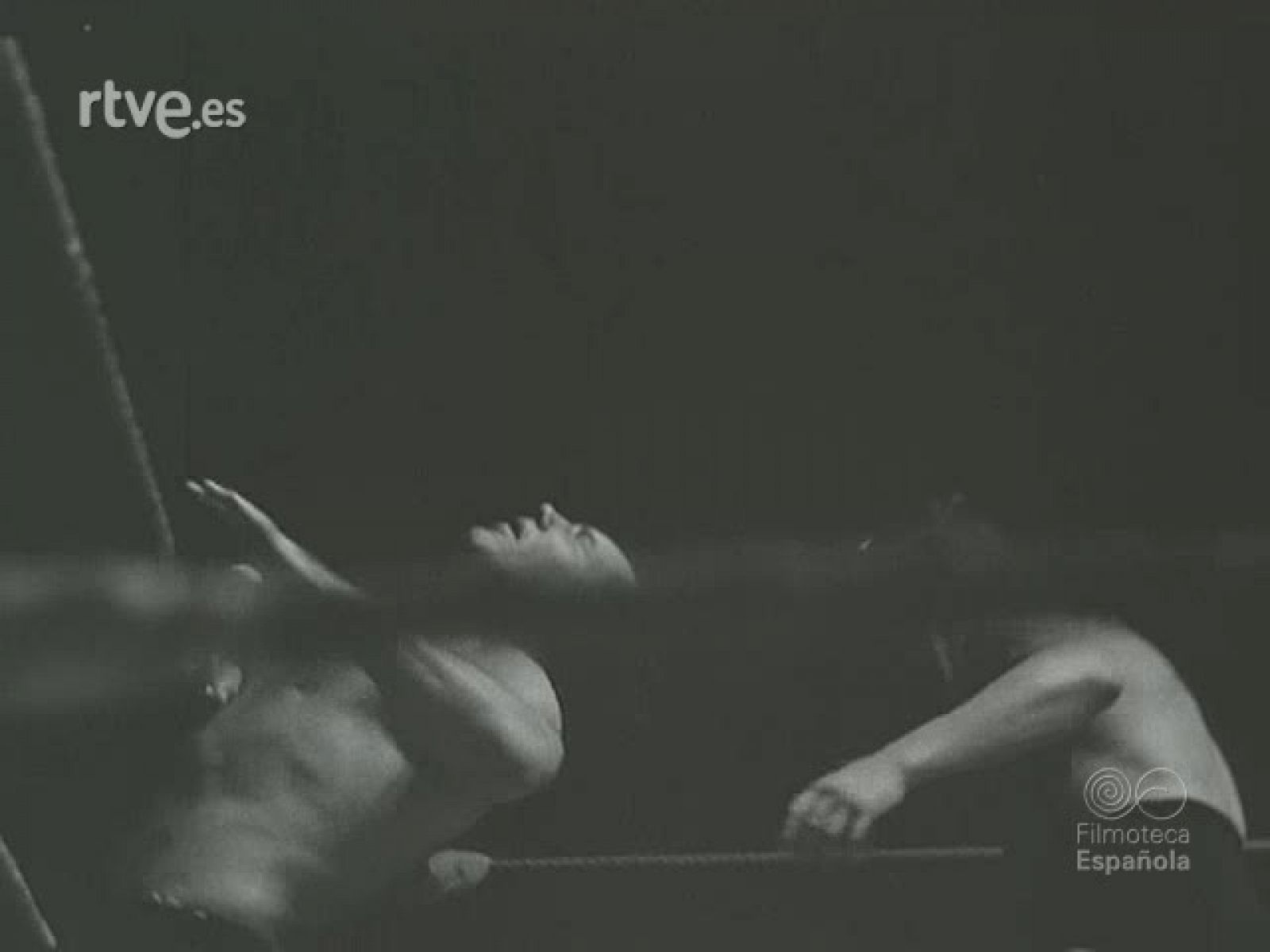 NOT N 295 A - NO-DO | Ver