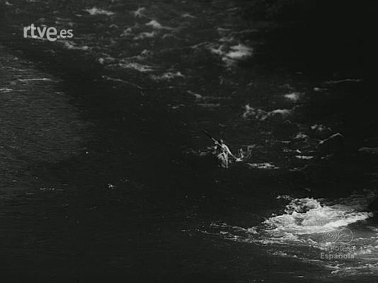 NO-DO - NOT N 1647 A