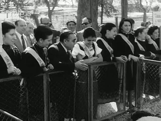 NO-DO - NOT N 1714 A