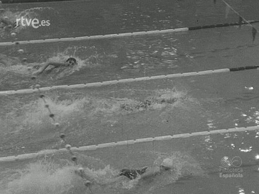 NO-DO - NOT N 1731 A